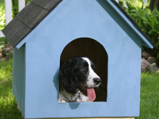 ron hazelton dog house