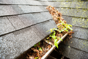 gutter maintenance