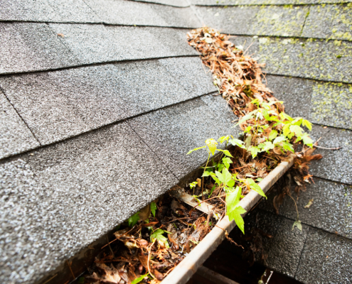 gutter maintenance