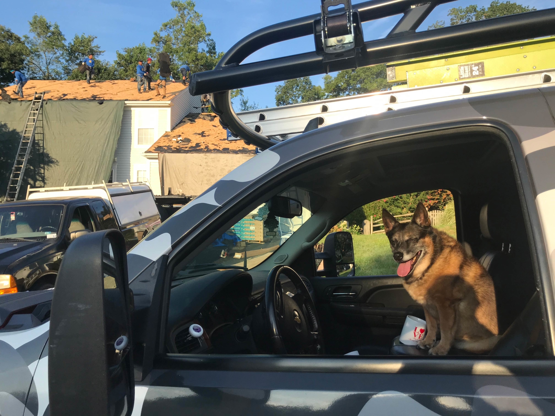 Top Dog Home Pro Roofing Installation - Dog in the Truck