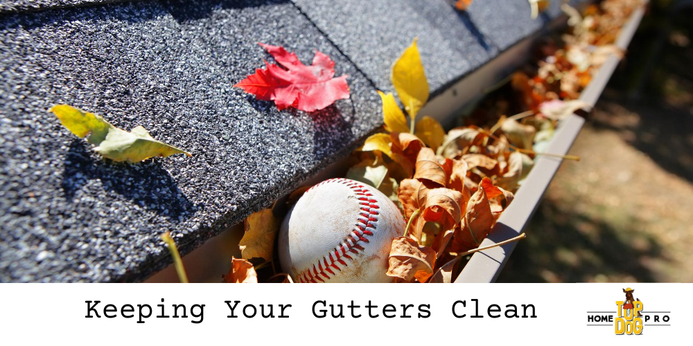 clean gutters