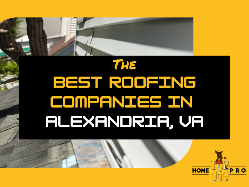 best roofing companies alexandria