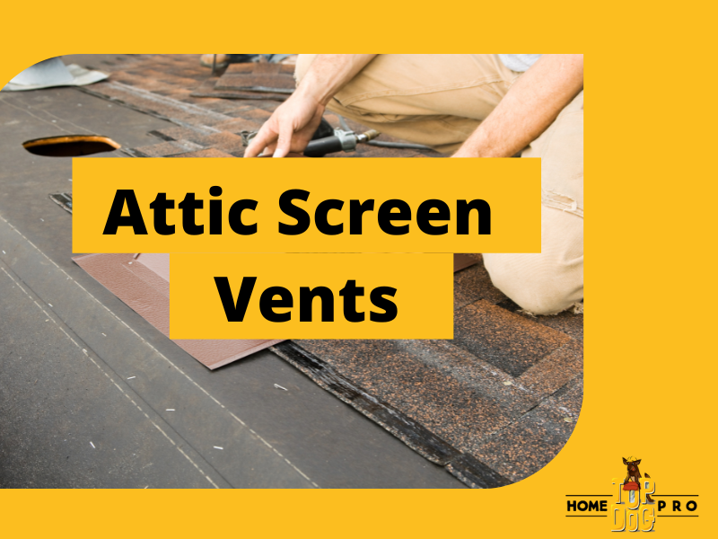 attic screen vents