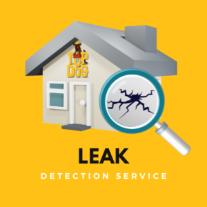 leak detection service