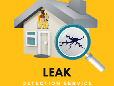 leak detection service